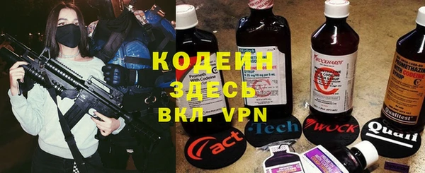 трава Арсеньев