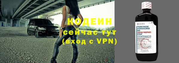 трава Арсеньев