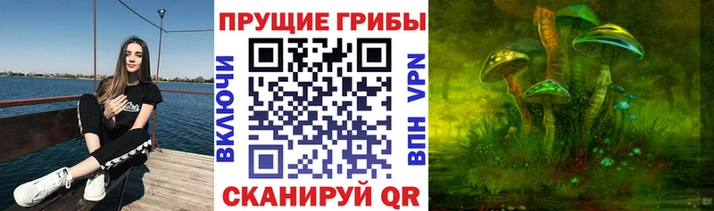 Псилоцибиновые грибы GOLDEN TEACHER Рыбинск