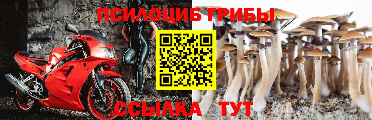 Галлюциногенные грибы мицелий  Псилоцибиновые грибы мухоморы  Рыбинск  Вход с VPN 