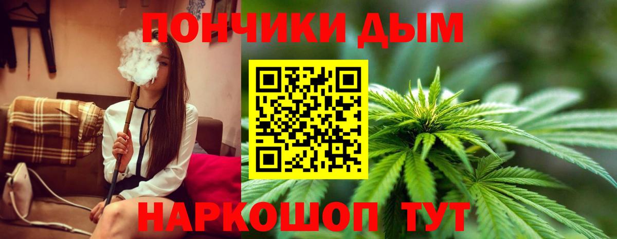 Конопля гибрид Рыбинск