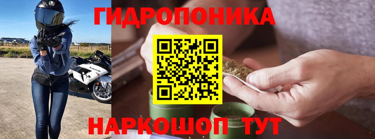 Рыбинск  Бошки марихуана тримм  МАРИХУАНА планчик  Каннабис индика  Вход с VPN  Канабис SATIVA & INDICA 